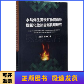 水与伴生黄铁矿协同诱导煤氧化放热自燃机理研究