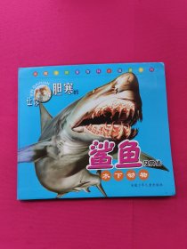 新概念探索百科小怪兽系列：让你胆寒的鲨鱼及其他水下动物