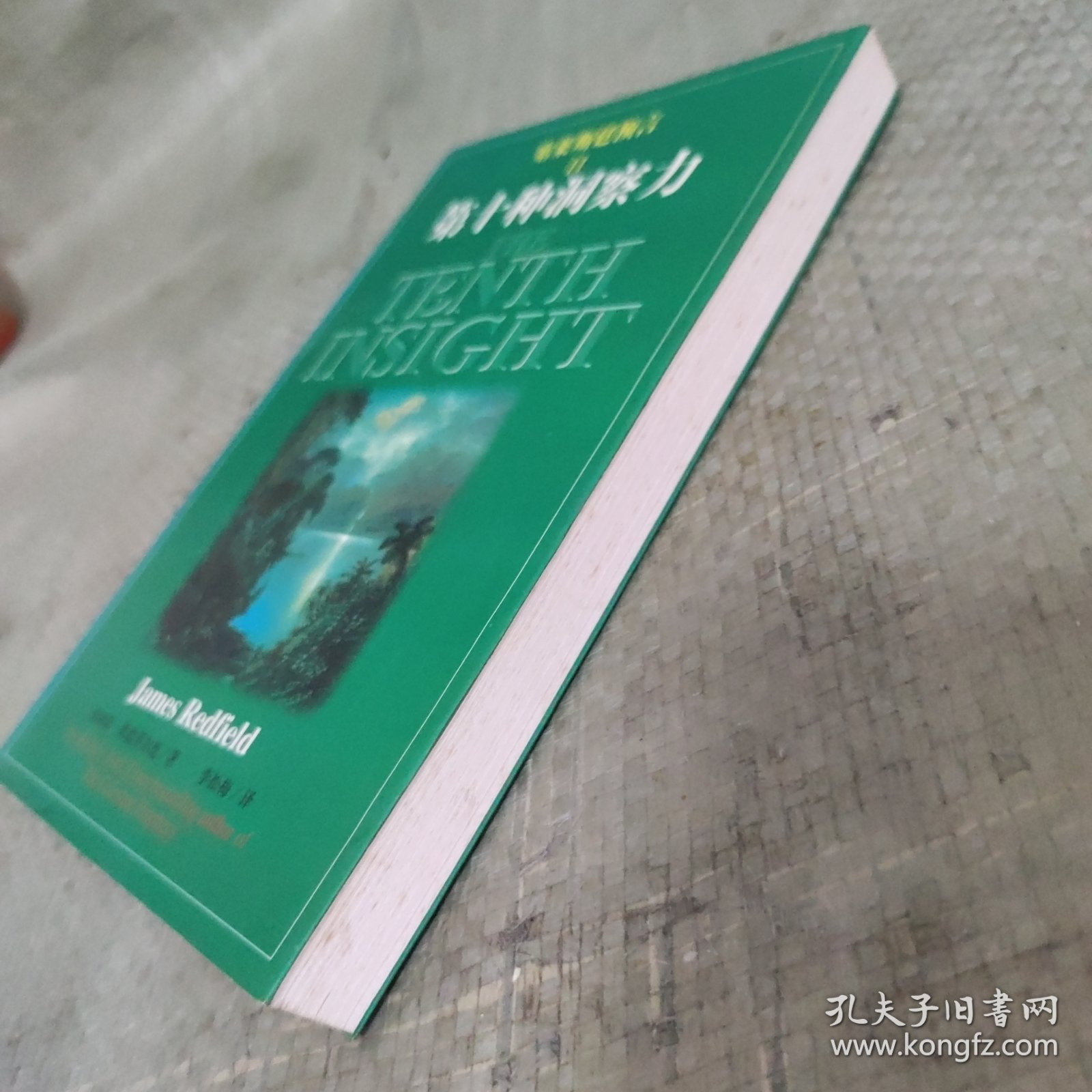 塞莱斯廷预言Ⅱ第十种洞察力