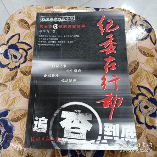 长篇反腐纪实小说--纪委在行动