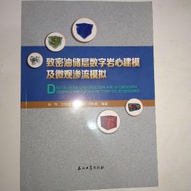 致密油储层数字岩心建模及微观渗流模拟  【562】