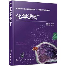化学选矿❤ 何东升  主编 化学工业出版社9787122350992✔正版全新图书籍Book❤