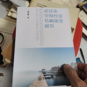 武汉市空间经济结构演变研究