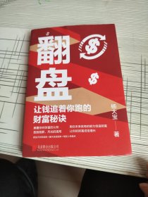 翻盘（《有钱人和你想的不一样》本土实践版；富人不会说的赚钱秘诀，学会一种就能变富）