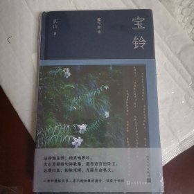 宝铃: 短句和诗（一版一印）