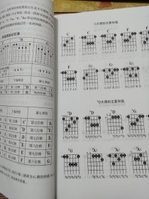 吉他弹奏入门（附：从零起步学吉他光盘一张）