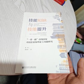 技能短缺与技能提升：“一带一路”沿线国家中国企业海外雇工问题研究（几乎全新内干净）