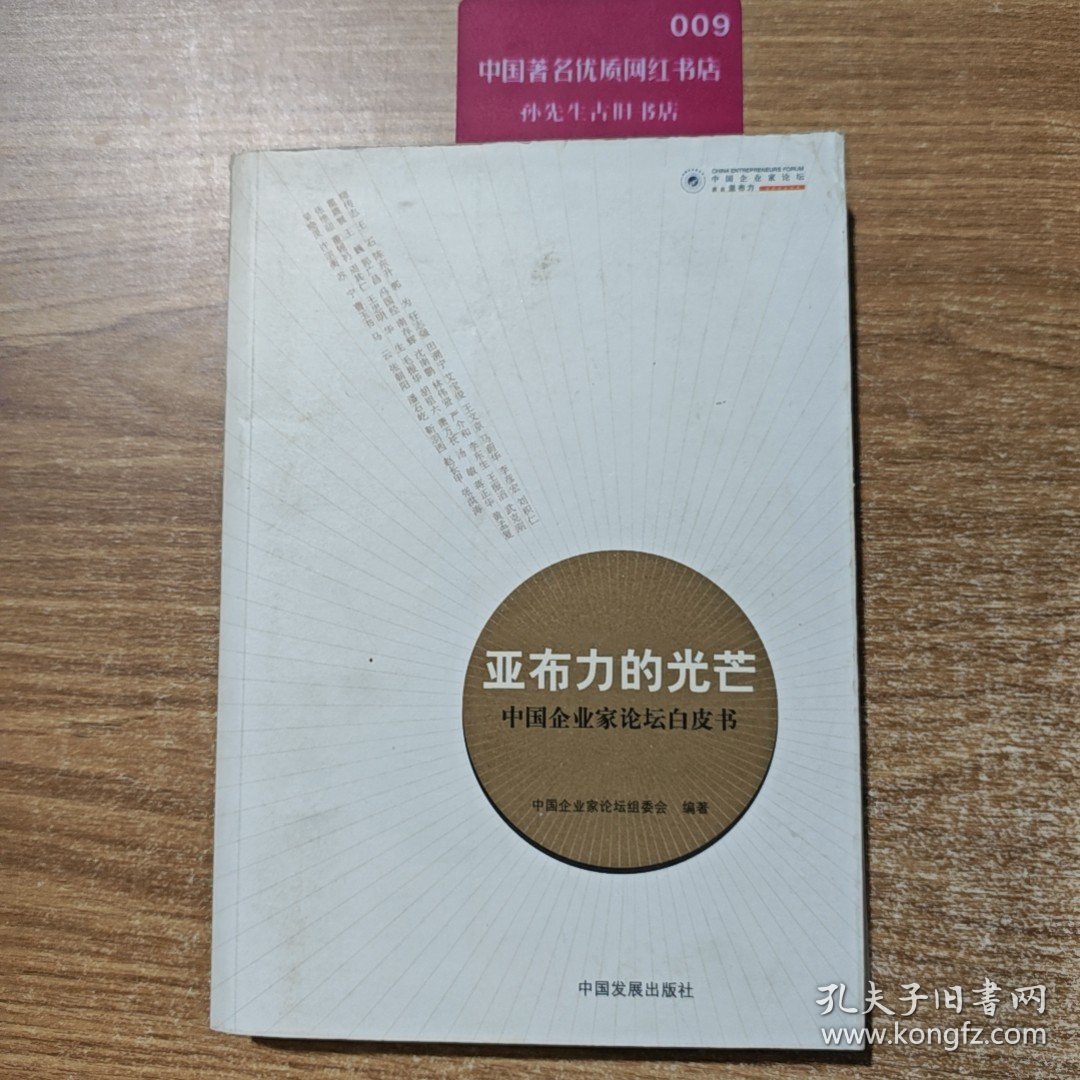 亚布力的光芒:中国企业家论坛白皮书