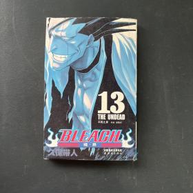 BLEACH 境·界13：不死之身