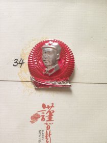诗词雄关漫道真如铁像章