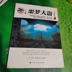 麦林悬疑：噩梦大盗