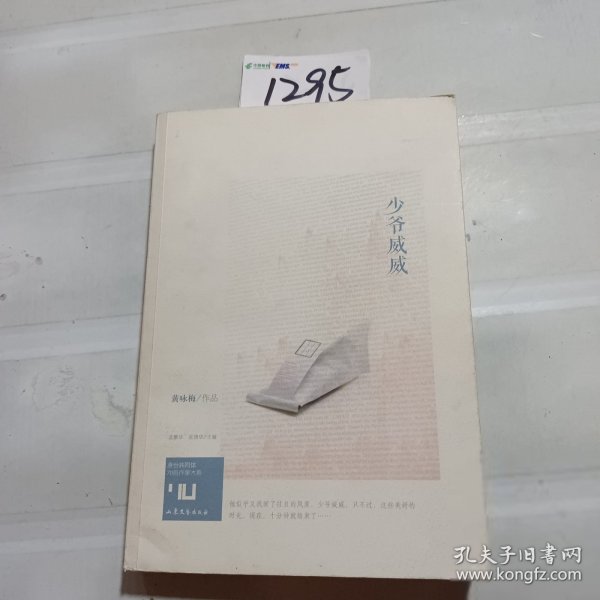 身份共同体70后作家大系：少爷威威