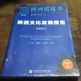 陕西蓝皮书：陕西文化发展报告（2021）B2.16K.X