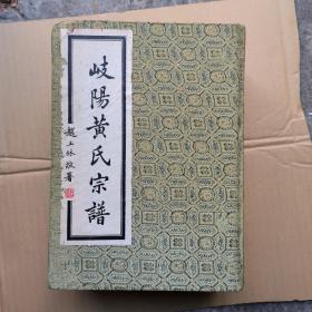 岐陽黄氏宗谱 (1828页厚重)