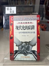 现代化的陷阱：当代中国的经济社会问题