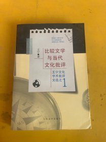 比较文学与当代文化批评