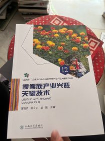 傈僳族产业兴旺关键技术