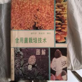 食用菌栽培技术图解