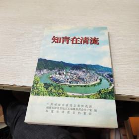 知青在清流