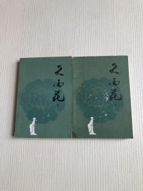 天雨花（中下，缺上）2册合售