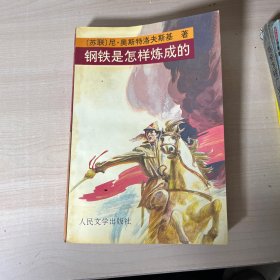 钢铁是怎样炼成的