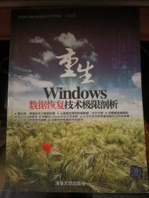 重生：Windows数据恢复技术极限剖析