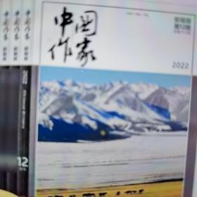 中国作家杂志影视版12本合售，分别有：2022年全年1+2+3+4+5+6+7+8+9+10+11+12