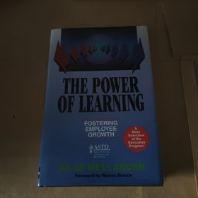 THE POWER OF LEARNING（书名以图片为准）