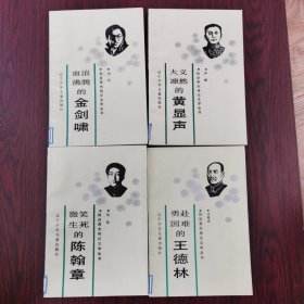 抗日英烈传记文学丛书：全套12本合售