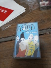 磁带 Aqua