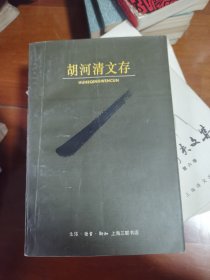 胡河清文存