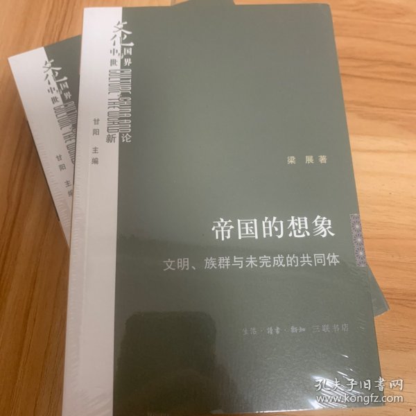 帝国的想象：文明、族群与未完成的共同体