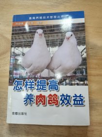 怎样提高养肉鸽效益