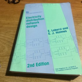 Electricity Distribution Network Design