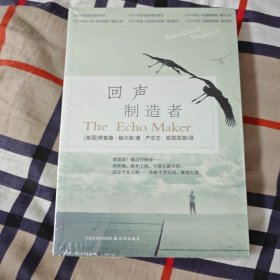 回声制造者