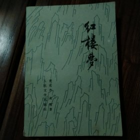 红楼梦（三）