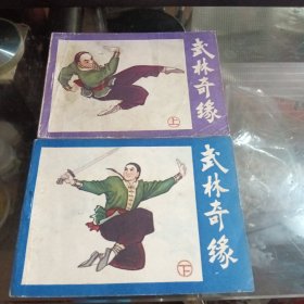 武侠连环画：武林奇缘。上下集