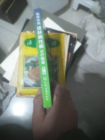临床实用皮肤病性病诊疗图谱（第2版）