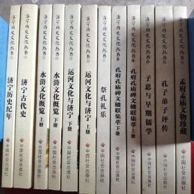 济宁历史文化丛书(9-10-18-19-20-21-22-23-6一共12册)