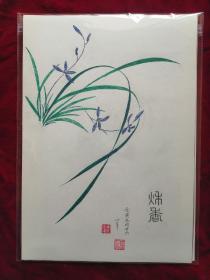 手绘兰花草，8开，任选一张