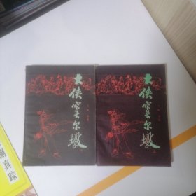 大侠窦尔墩 上下册