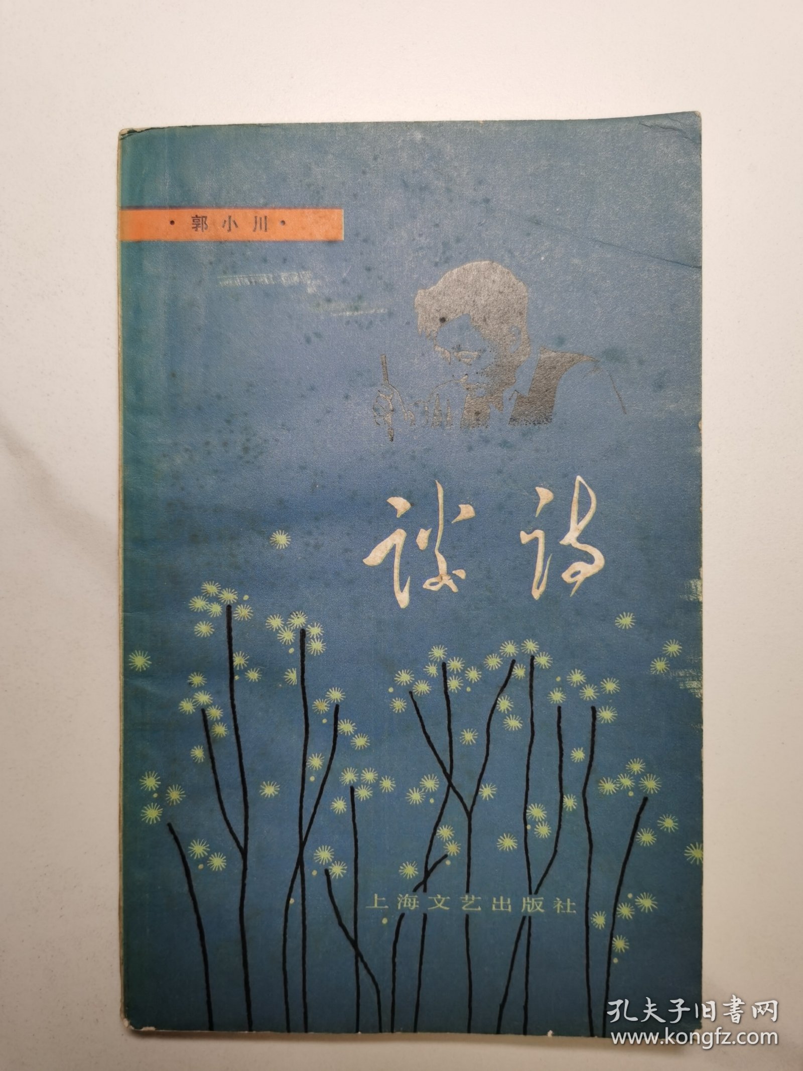 谈诗（修订本）