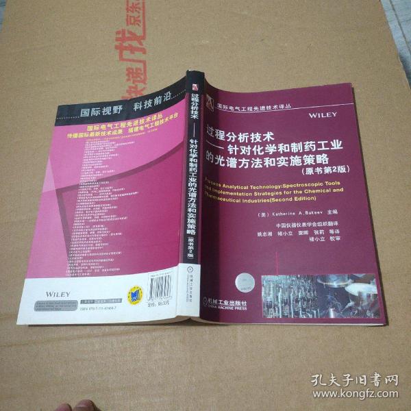 过程分析技术：针对化学和制药工业的光谱方法和实施策略（原书第2版）