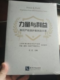 力量与利益：知识产权保护案例启示录