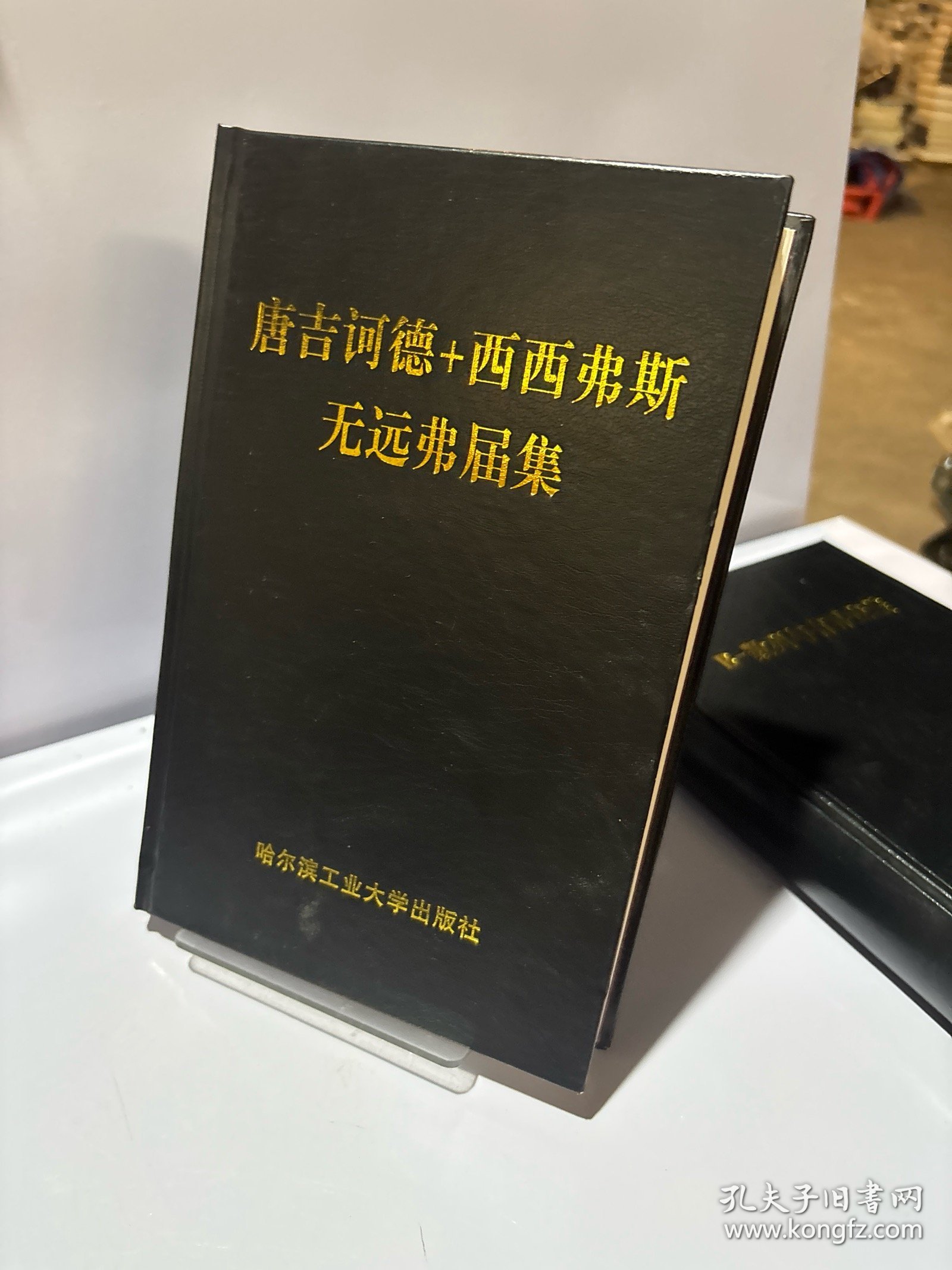 唐吉词德+西西弗斯.无远弗届集