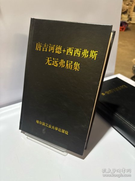 唐吉词德+西西弗斯.无远弗届集