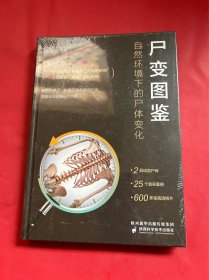 尸变图鉴:自然环境下的尸体变化