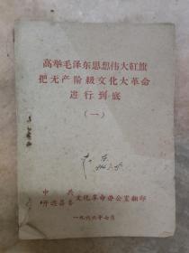 高举毛泽东思想伟大红旗把无产阶级文化革命进行到底