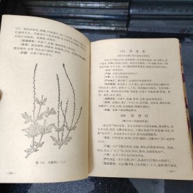 中药材手册【1959年一版一印】