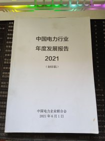 中国电力行业年度发展报告2021（初审稿）